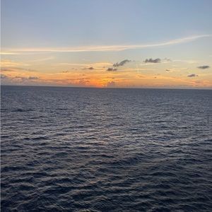 Meet your Posher, Ella